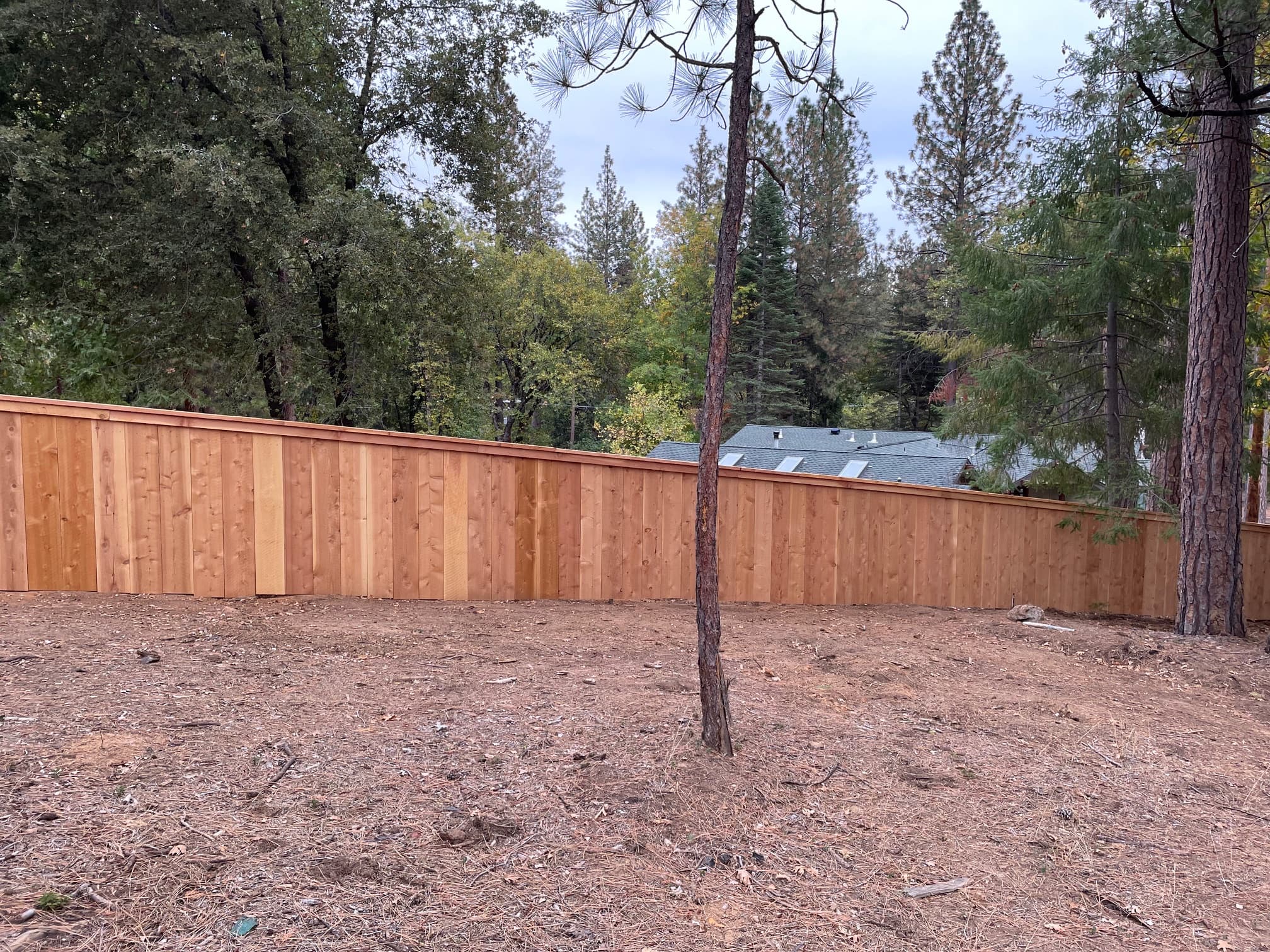 Cedar vertical board fence on wooded lot, Nevada County